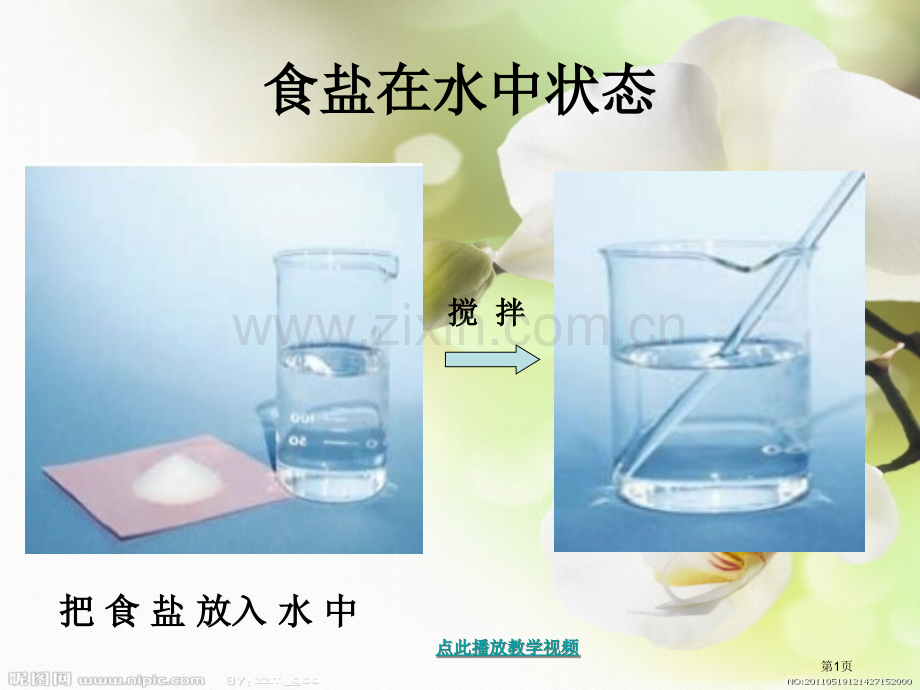 小学科学物质在水中是怎样溶解的省公共课一等奖全国赛课获奖课件.pptx_第1页