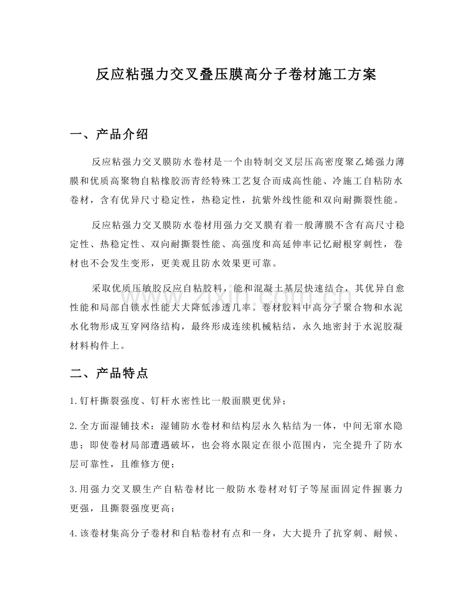 反应粘强力交叉膜综合标准施工专业方案.doc_第1页