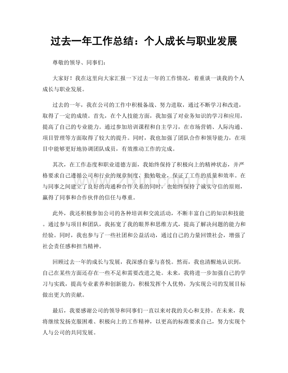 过去一年工作总结：个人成长与职业发展.docx_第1页