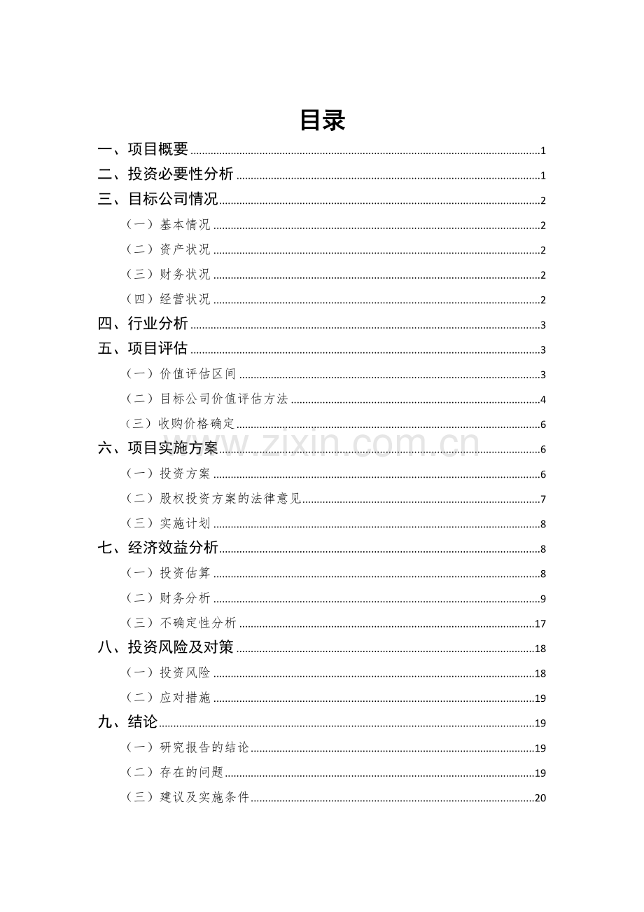 可行性专项研究报告模板投发部.docx_第2页