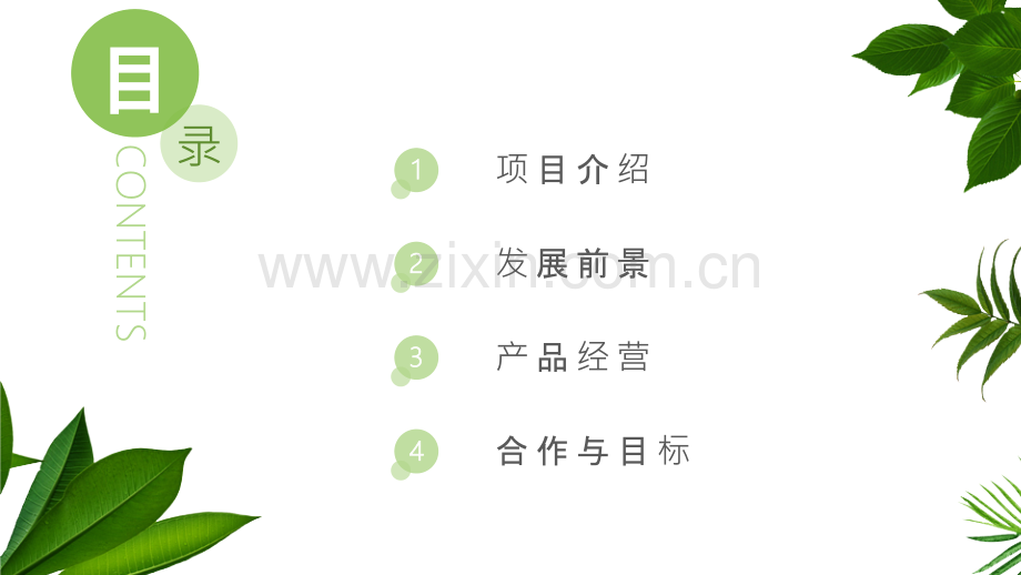 清新绿叶绿色植物PPT模板.pptx_第2页
