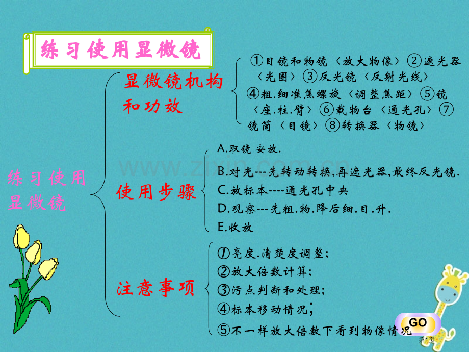 七年级生物上册2.2多细胞生物体的结构层次讲义1市公开课一等奖百校联赛特等奖大赛微课金奖PPT课件.pptx_第1页