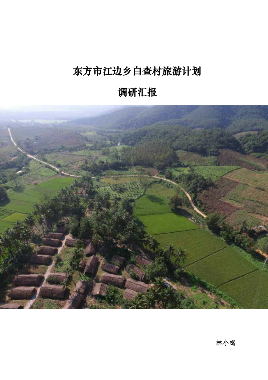 东方市江边乡白查村旅游规划方案调研分析报告.doc_第1页