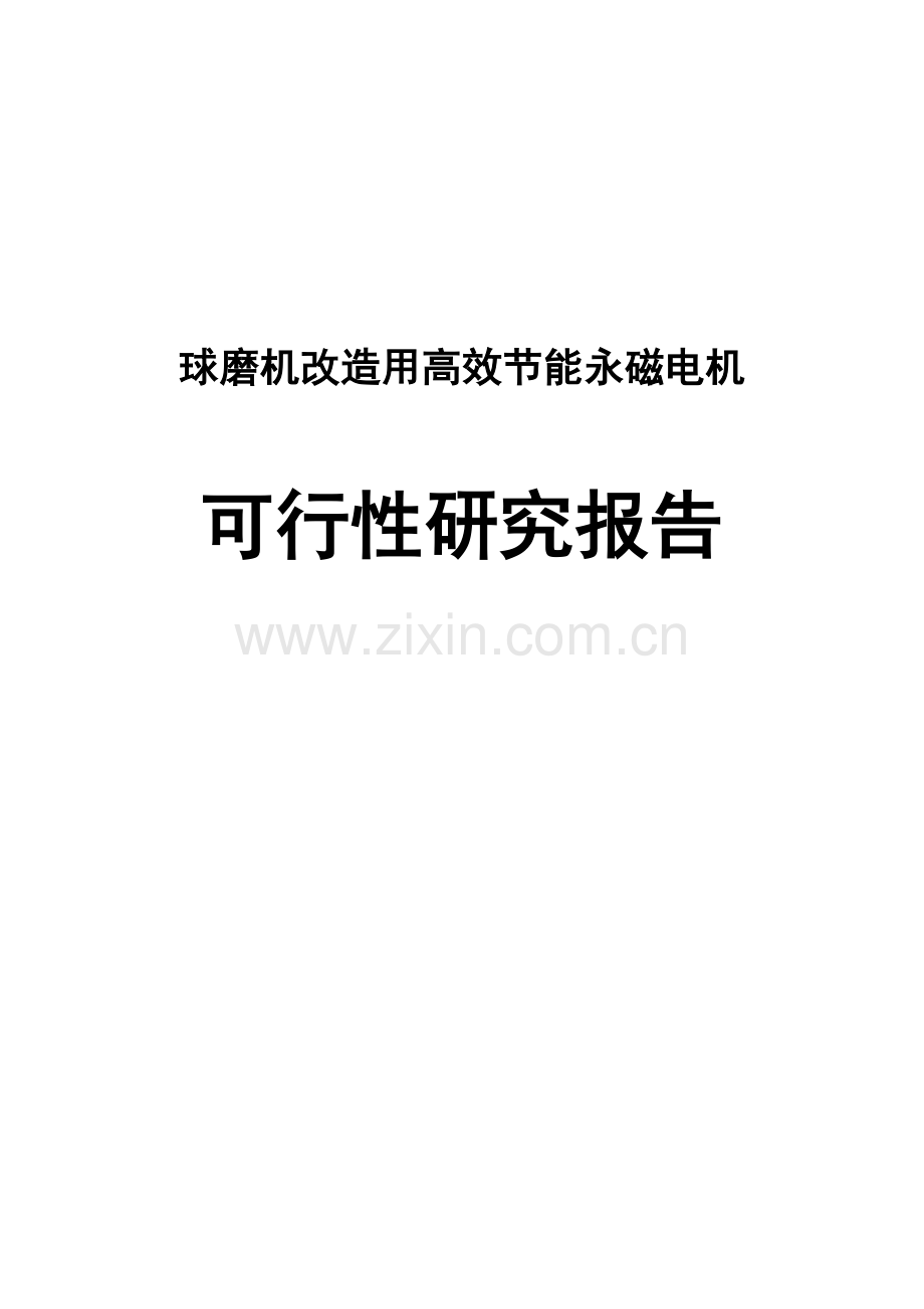 球磨机改造用高效节能永磁电机项目可行性研究报告.doc_第1页