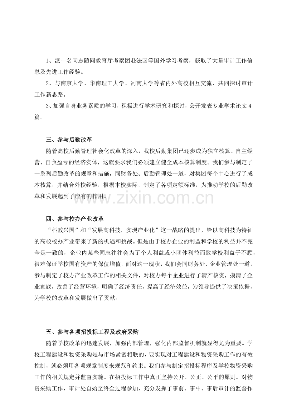 审计总结-部门总结-高校审计处工作总结.docx_第2页