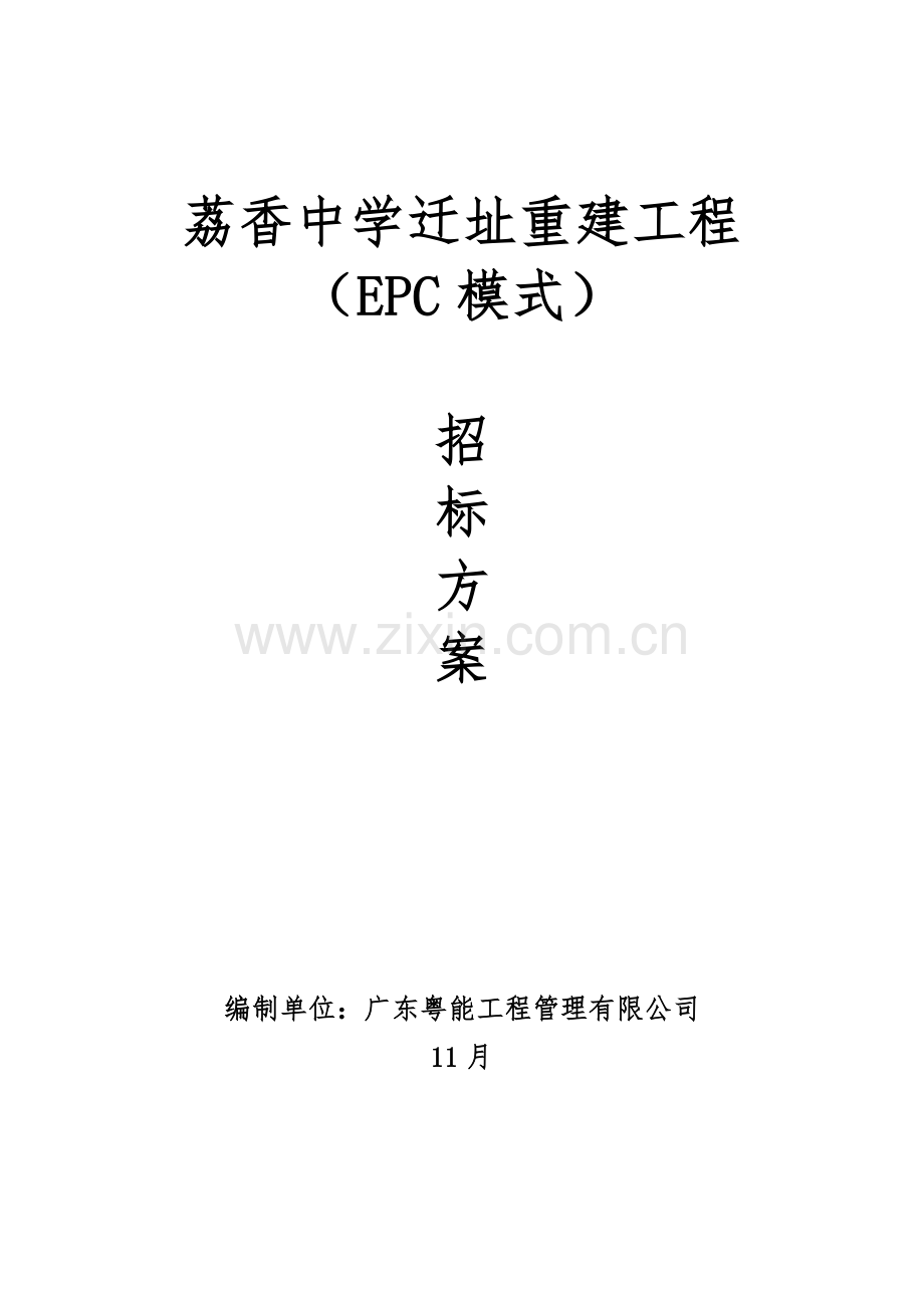 EPC专项招标专项方案专业资料.doc_第1页