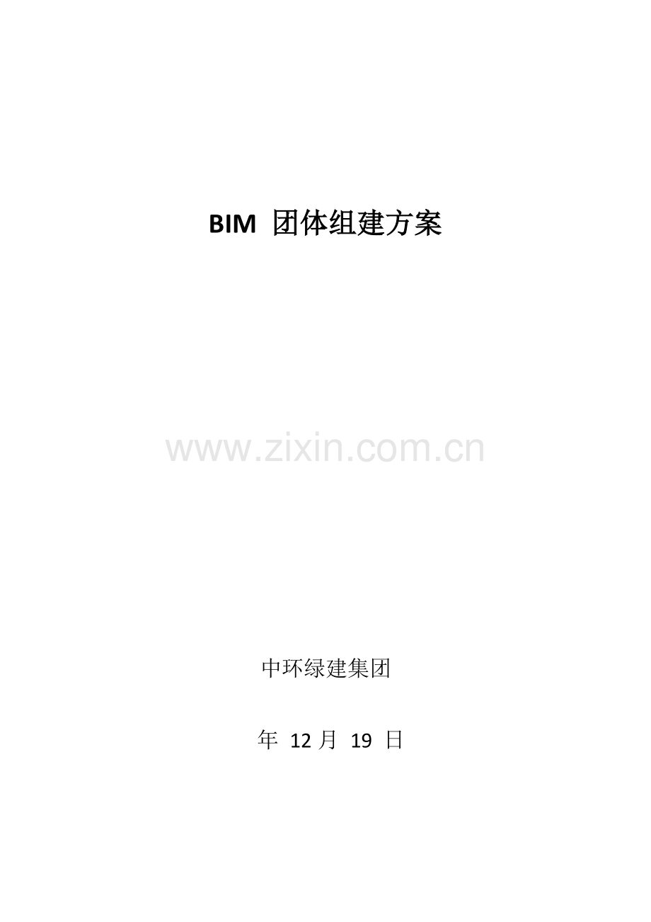 BIM组建专项方案.doc_第1页