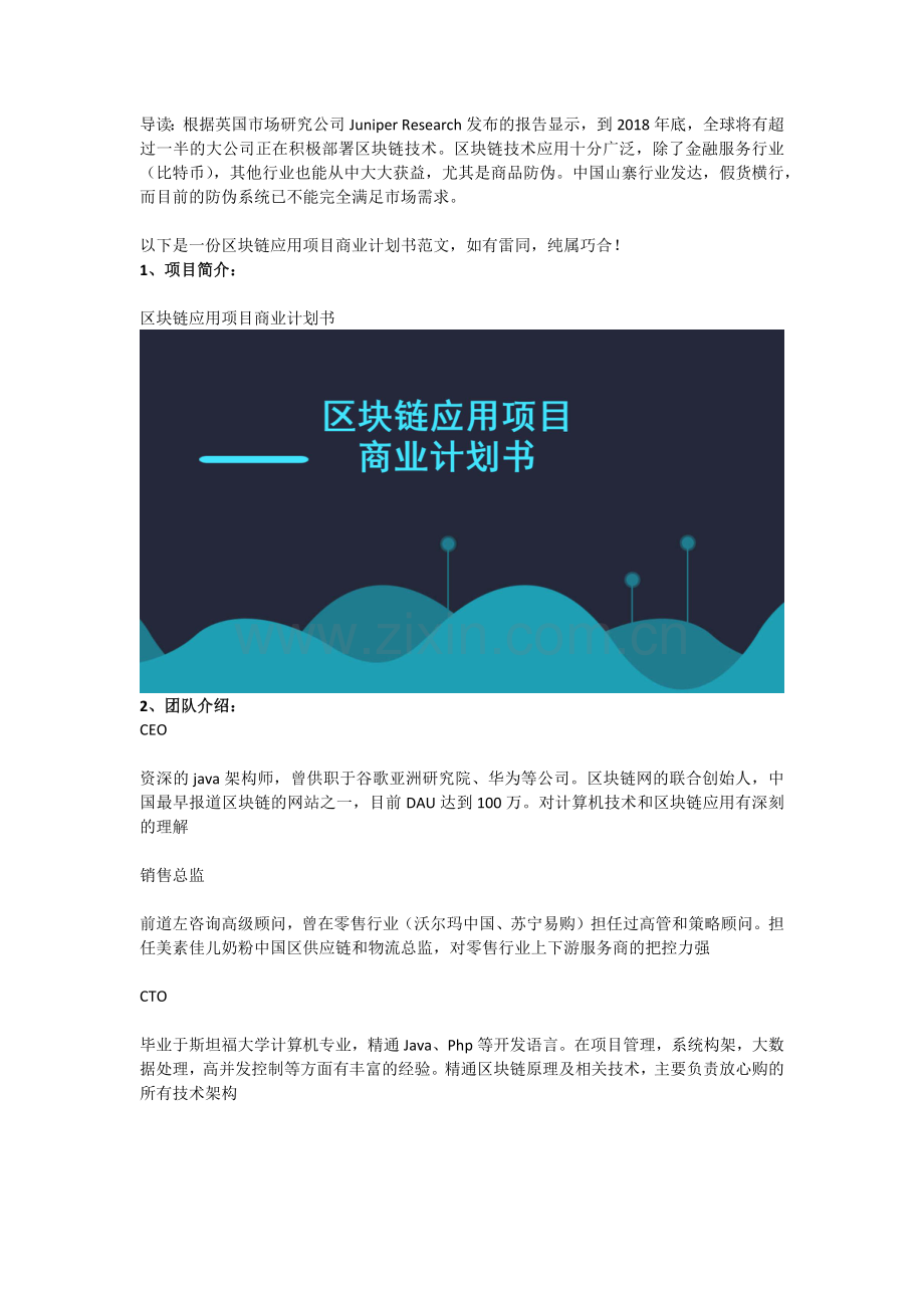 区块链应用项目商业计划书范文.docx_第2页