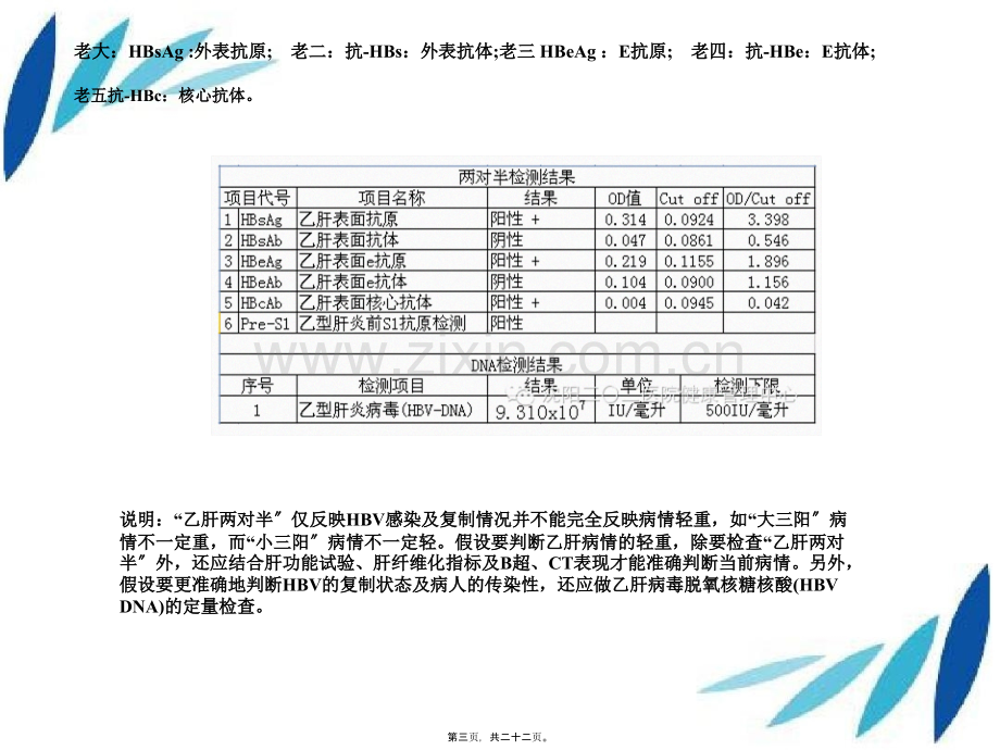 乙肝的基本知识.pptx_第2页