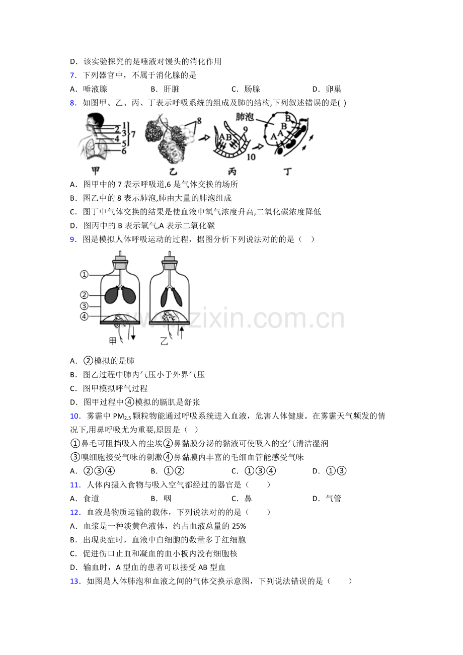 2022年人教版初一下册生物期末学业水平含解析.doc_第2页