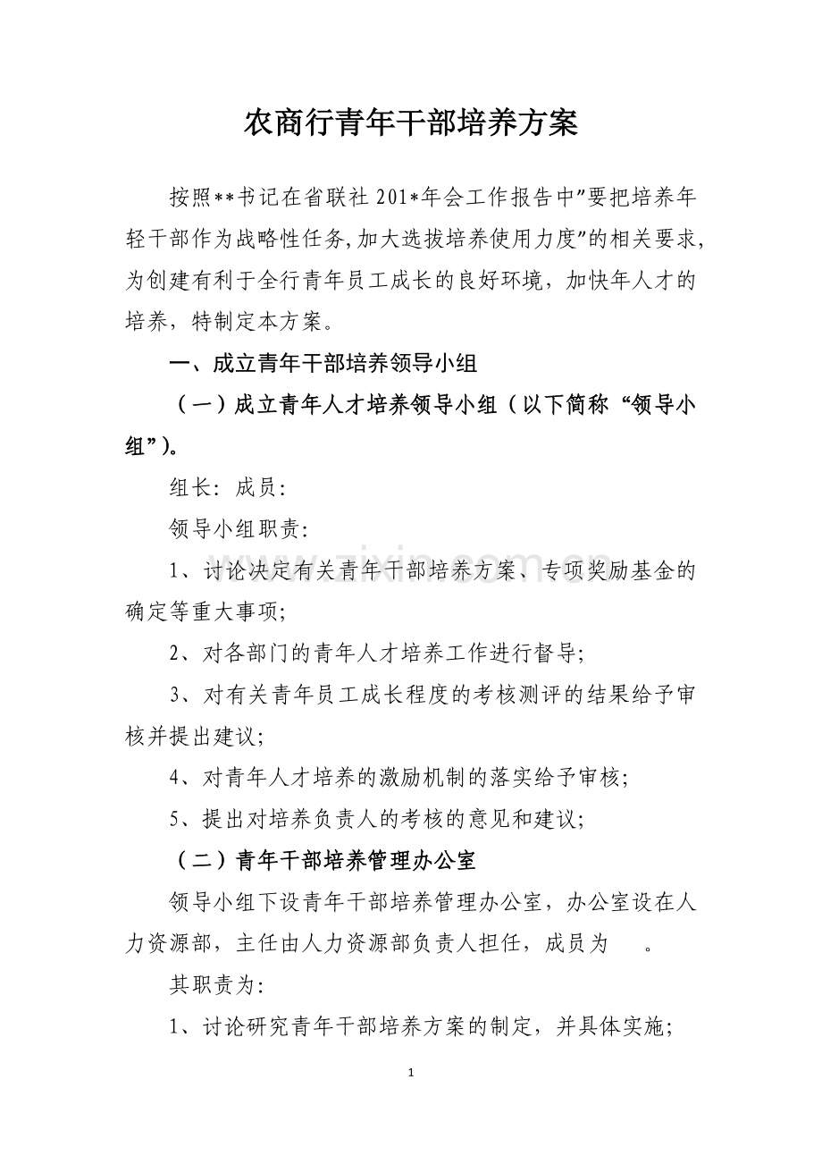 农商银行青年干部培养方案.doc_第1页