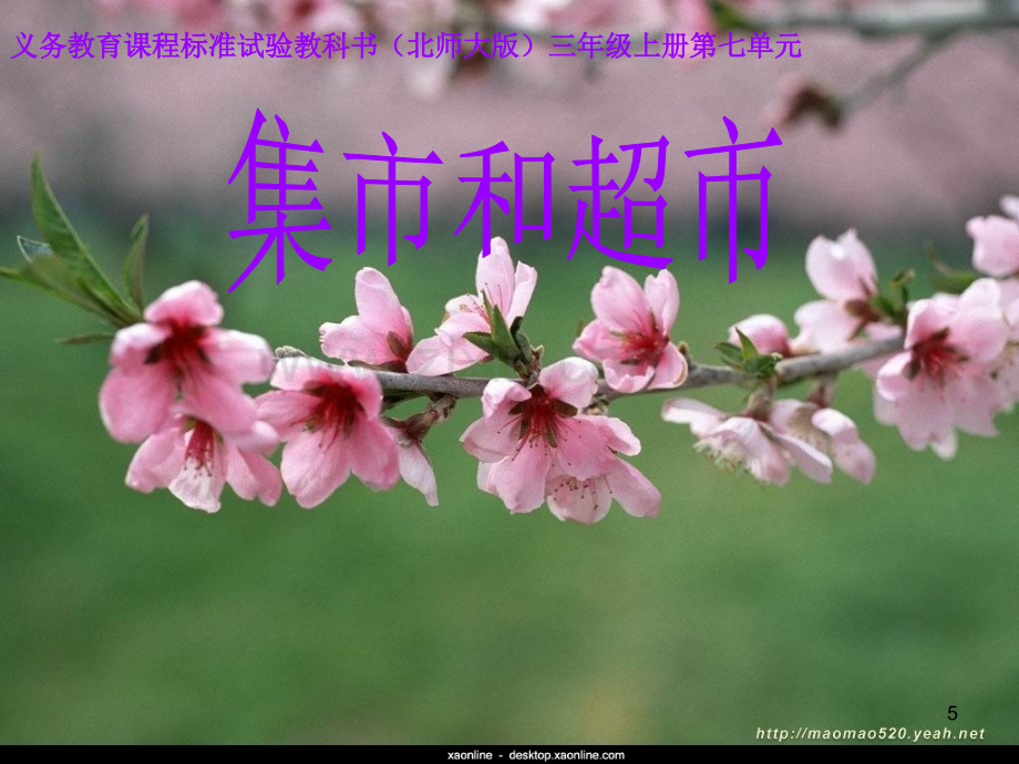 集市和超市.ppt_第1页