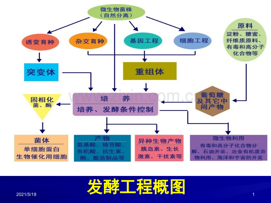 发酵工程课程总结.ppt_第1页