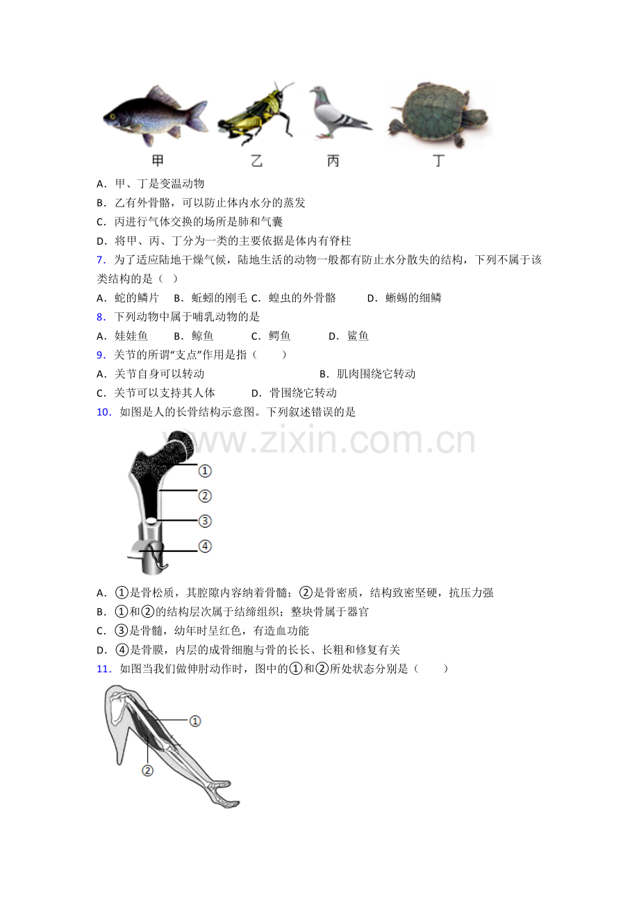 八年级生物上学期期末综合试题附解析(一).doc_第2页