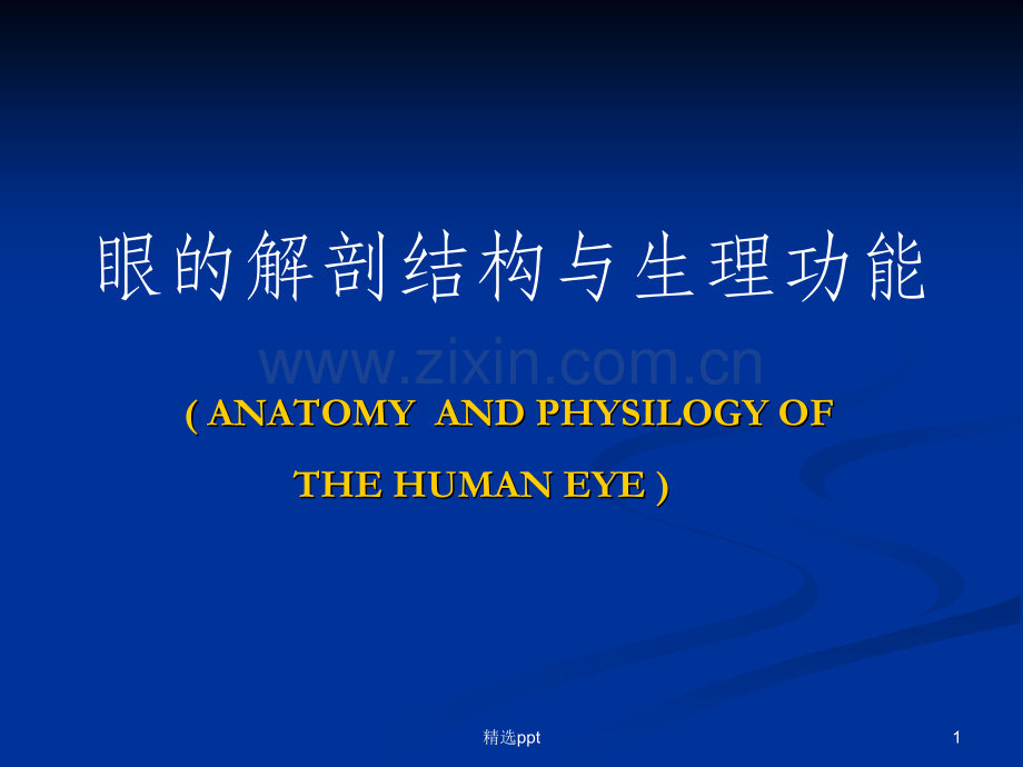 眼的解剖结构与生理功能.ppt_第1页