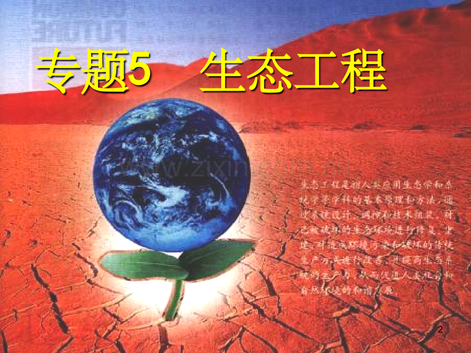 生态工程的基本原理(优秀).ppt_第2页