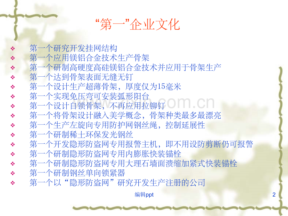 隐形防盗网-防盗窗.ppt_第2页