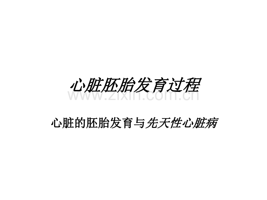 心脏胚胎发育过程.ppt_第1页