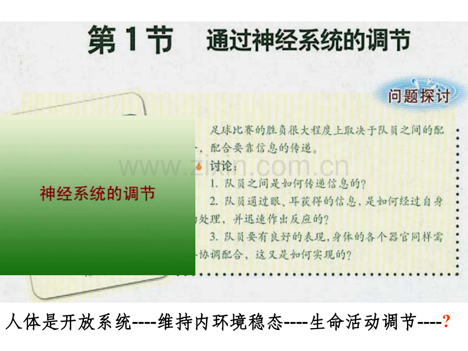 神经系统的调节.ppt_第1页