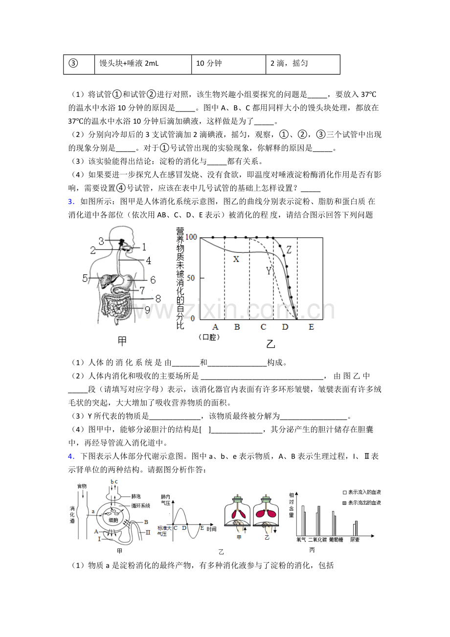 人教版中学七年级下册生物期末解答实验探究大题复习卷(及答案)word.doc_第2页