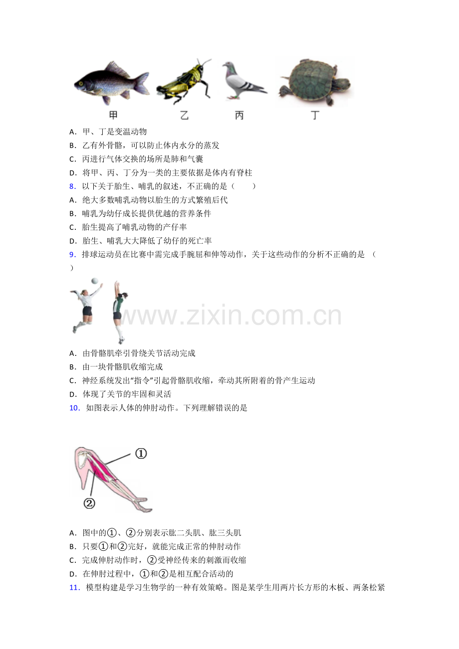 八年级上学期期末生物综合试卷含解析(一).doc_第2页