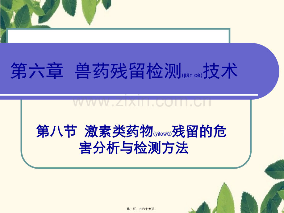 第六章兽药残留检测技术激素类.ppt_第1页