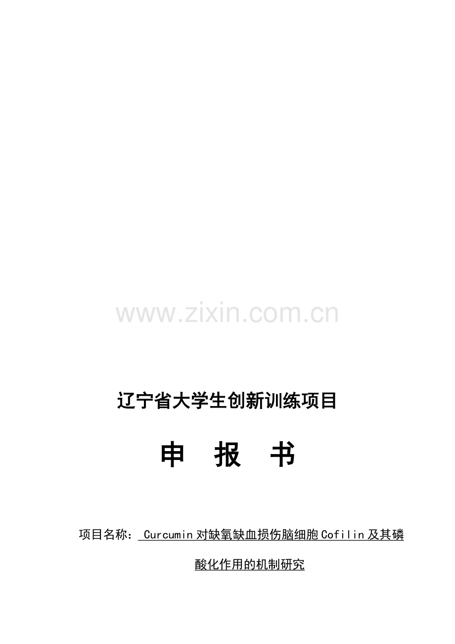 科研立项申请书.doc_第1页