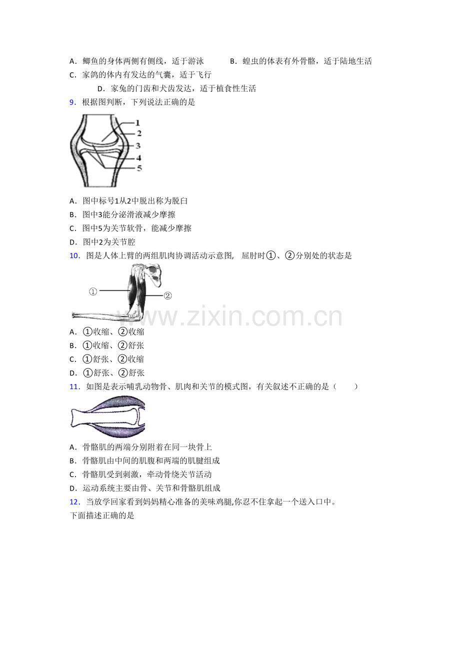 初二生物上学期期末检测试卷含解析(一).doc_第2页