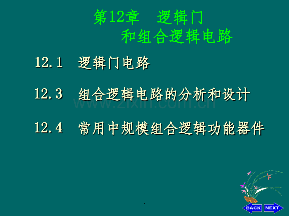 门电路和组合逻辑电路.ppt_第1页