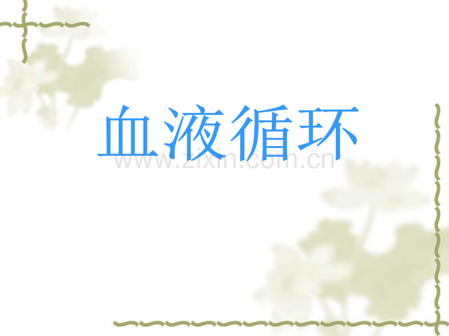 血液循环-课时.ppt_第1页