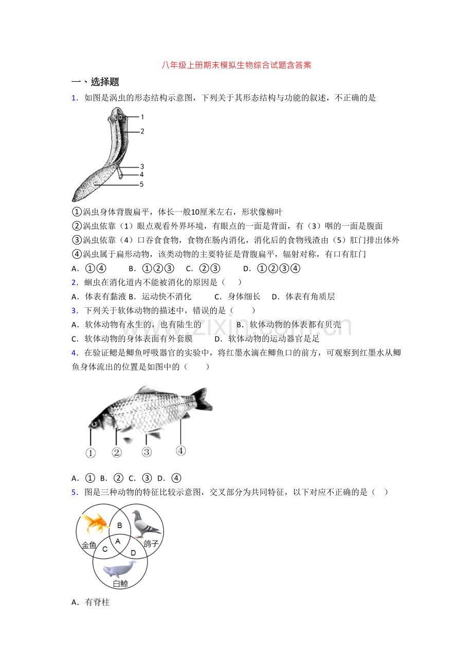 八年级上册期末模拟生物综合试题含答案.doc_第1页