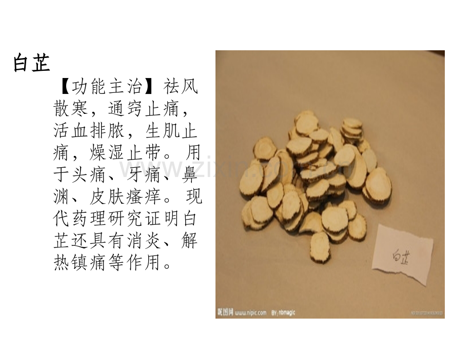 常见中草药图片及功效介绍.ppt_第2页
