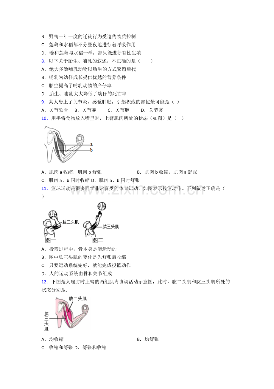 初二上学期期末生物综合检测试卷附答案.doc_第2页
