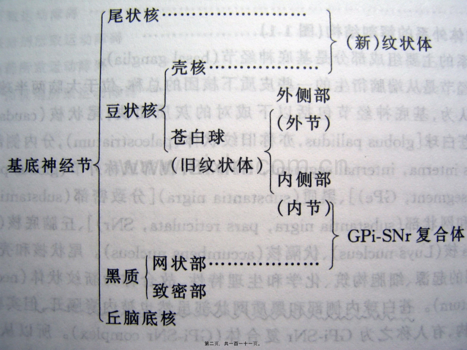 202X年帕金森氏病讲座[1].ppt_第1页