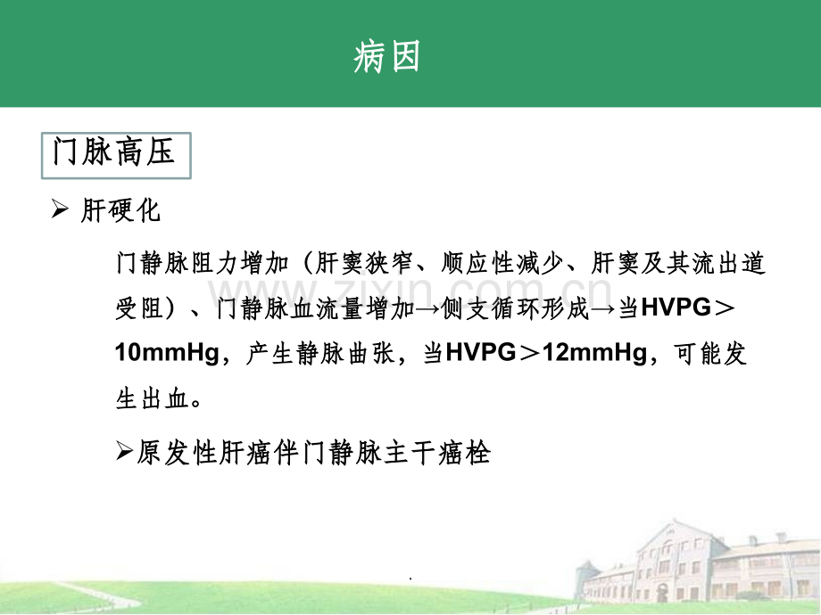 食管胃底静脉曲张.ppt_第2页