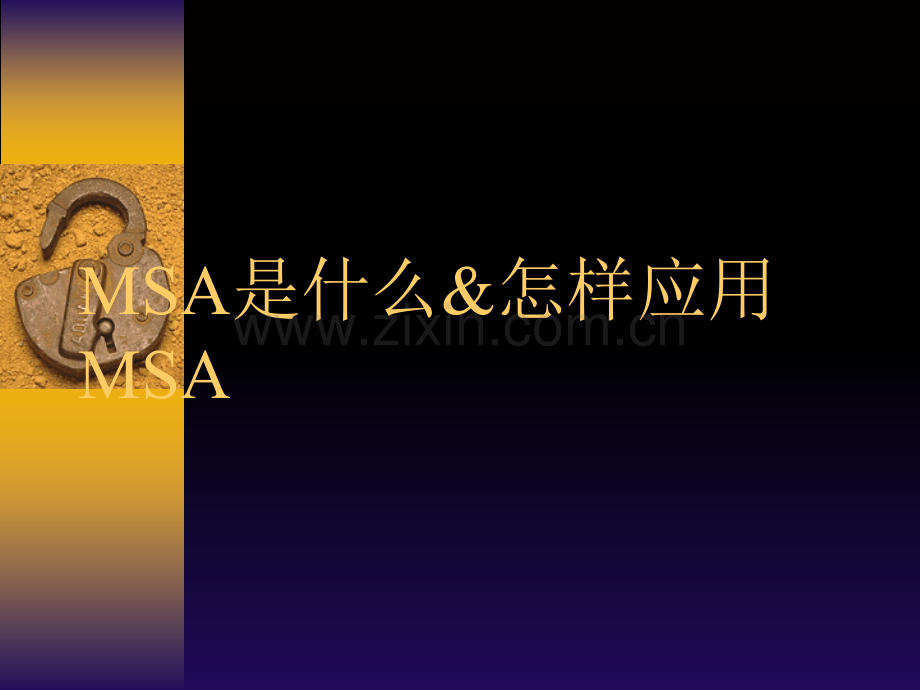什么是MSA.ppt_第1页