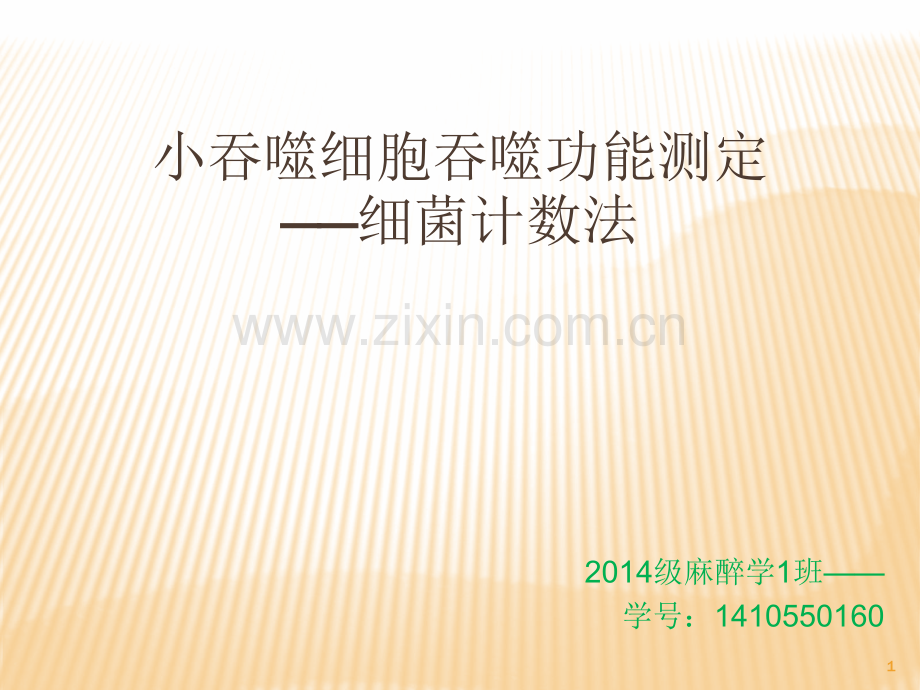 中性粒细胞吞噬功能测定.ppt_第1页