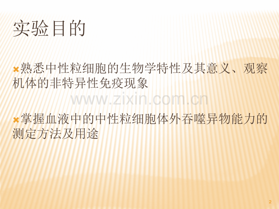 中性粒细胞吞噬功能测定.ppt_第2页