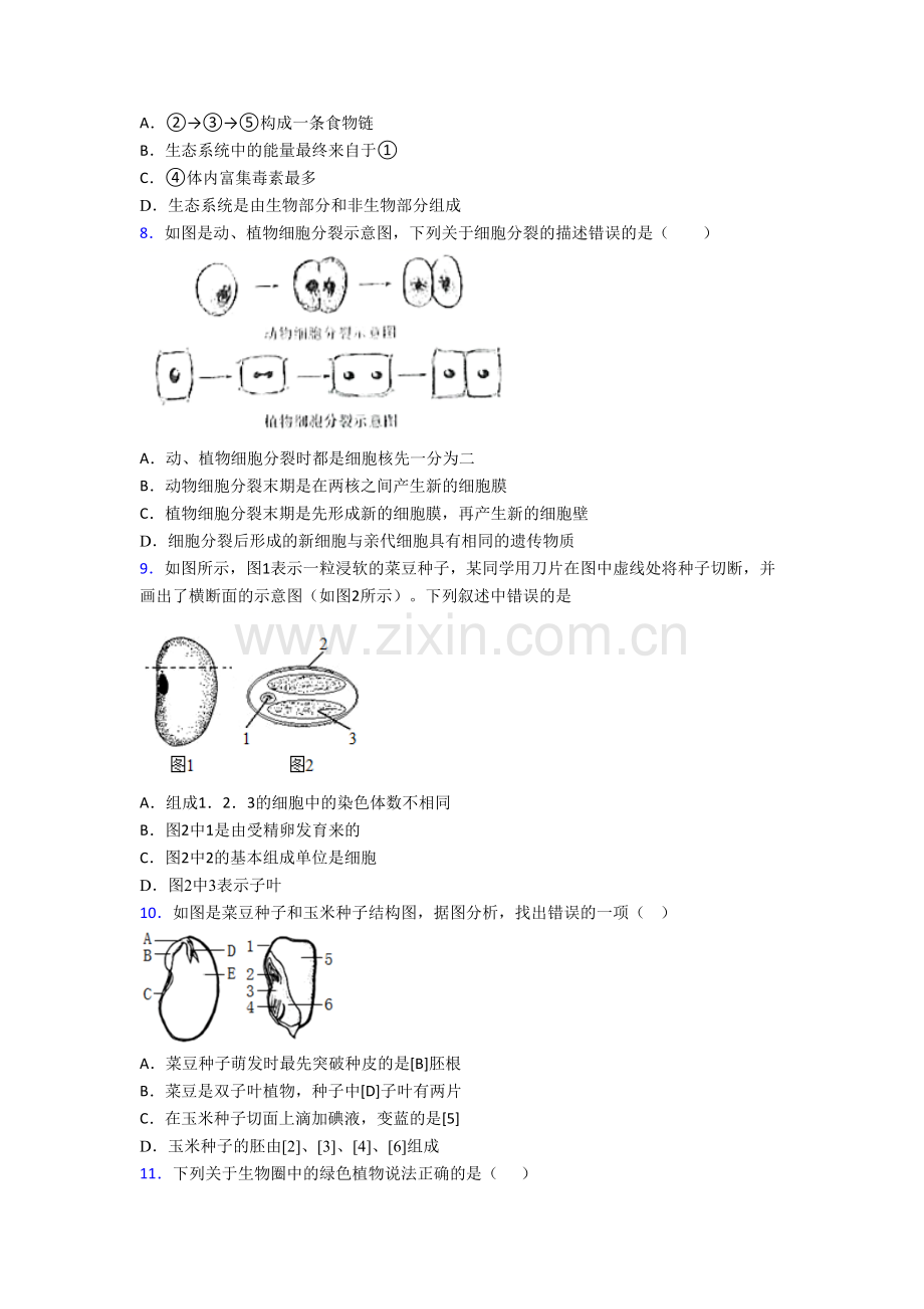 天津市南开翔宇学校七年级上册期末生物试卷.doc_第2页