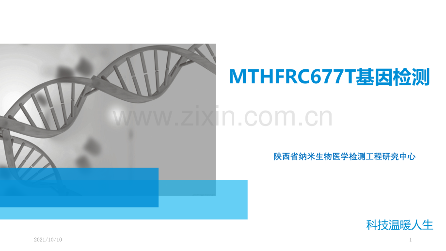 MTHFR-C677T-基因检测(综合)20170.ppt_第1页