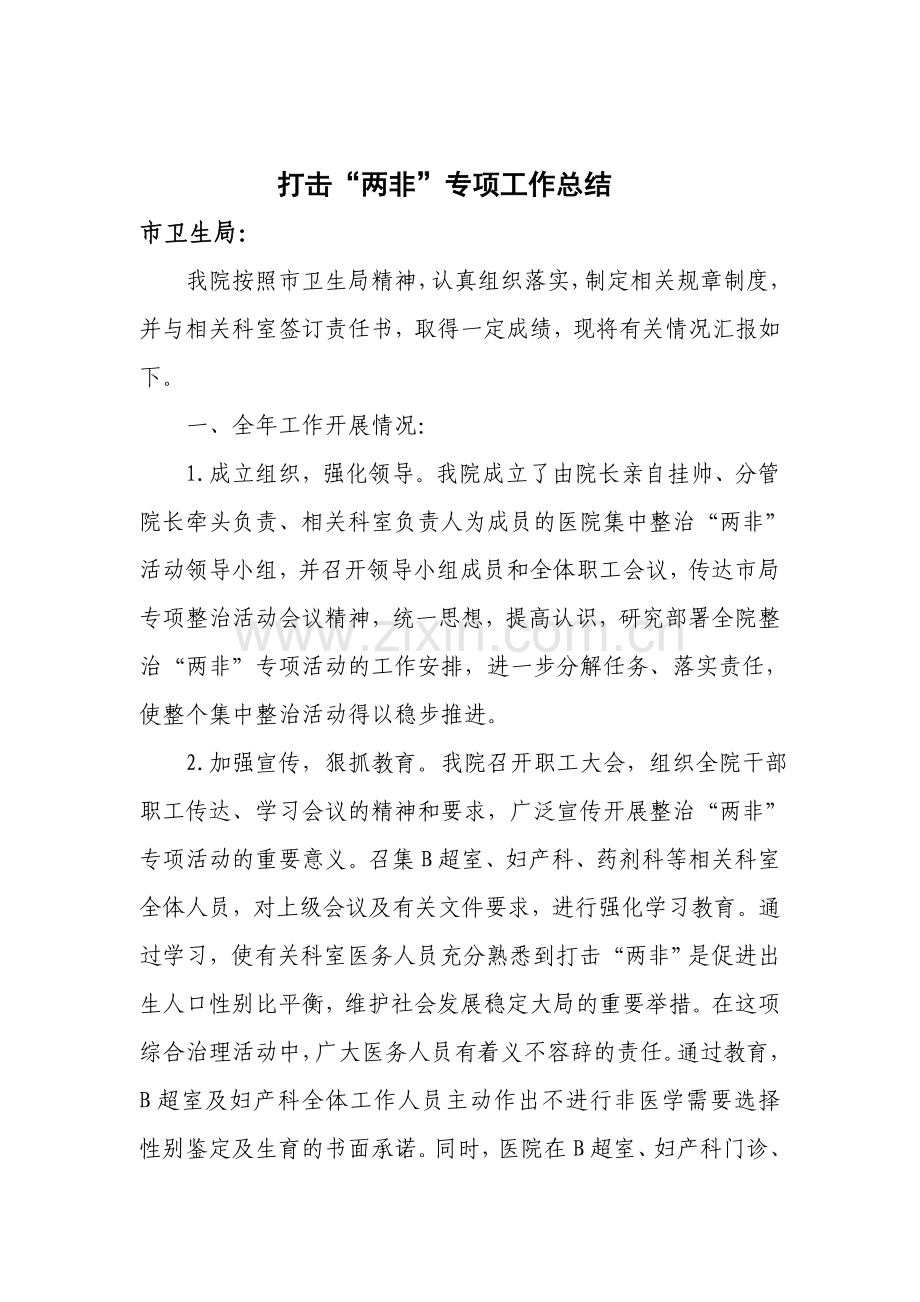 医院打击两非专项总结.doc_第1页