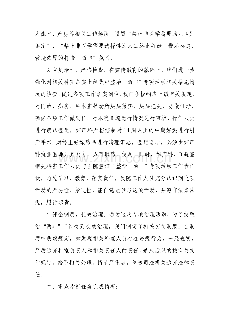 医院打击两非专项总结.doc_第2页
