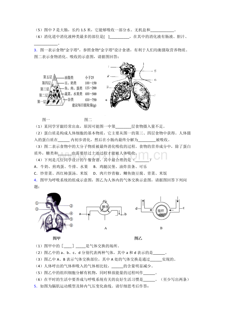 人教版中学七年级下册生物期末解答实验探究大题质量检测试卷附解析优秀.doc_第2页