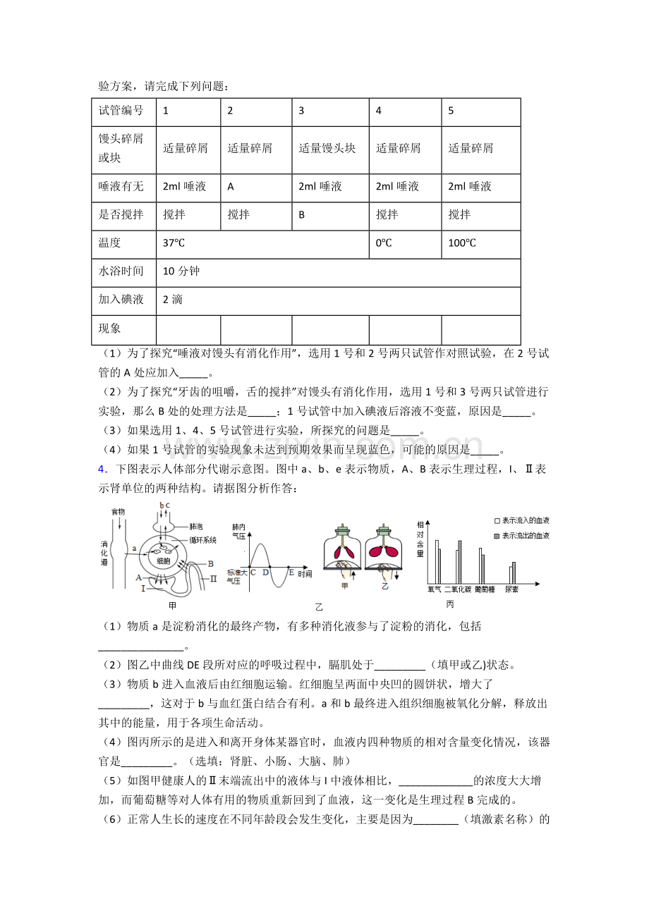 人教中学七年级下册生物期末解答实验探究大题测试题(含解析).doc_第2页