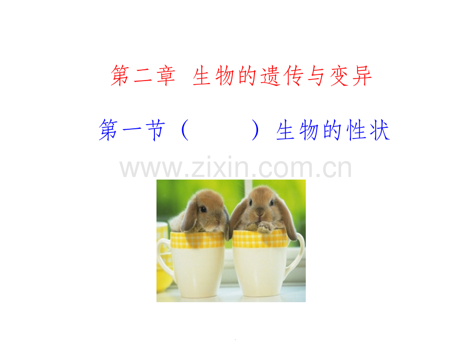 八年级生物下册第一章第一节.ppt_第1页