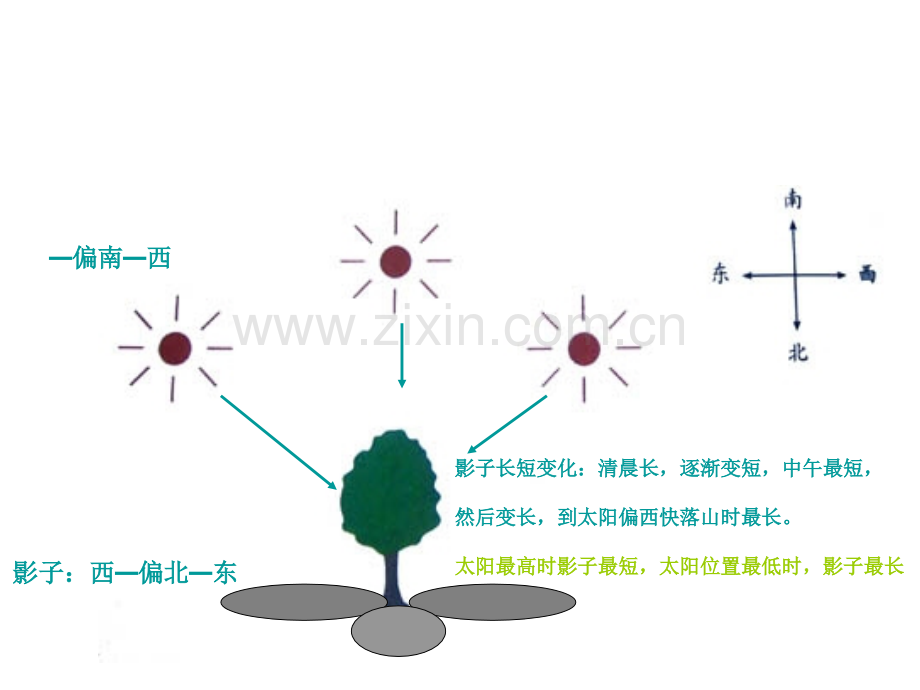五年级上科学光是怎样传播的.ppt_第1页