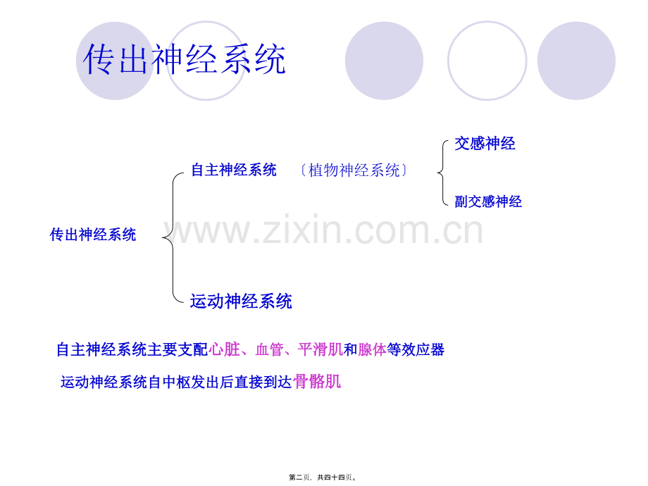 传出神经系统药理-图文.pptx_第1页