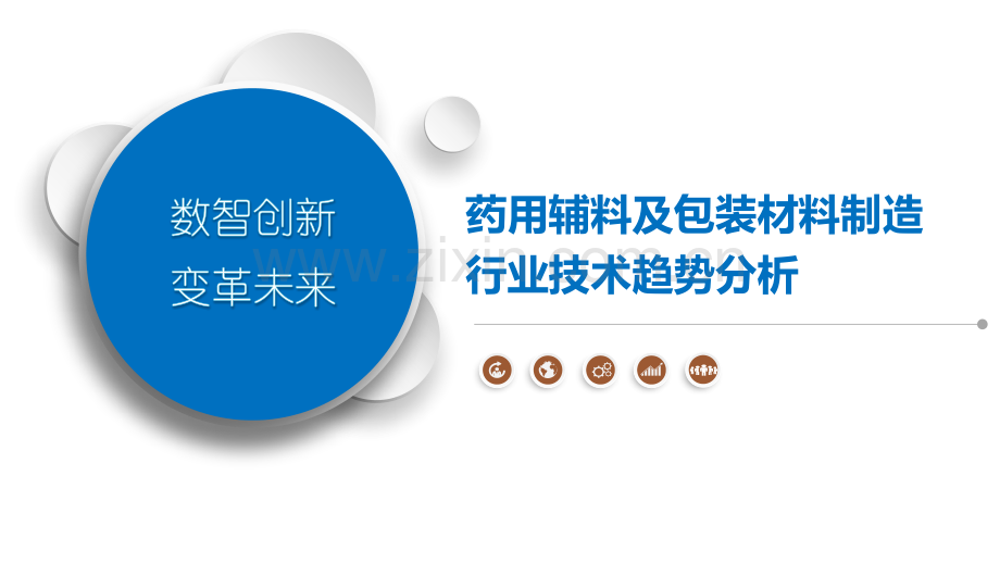 药用辅料及包装材料制造行业技术趋势分析.pptx_第1页