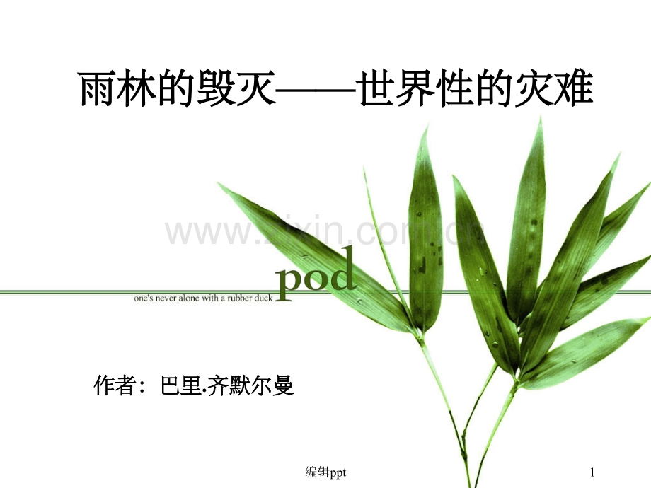 雨林的毁灭——世界性灾难》正式版.ppt_第1页