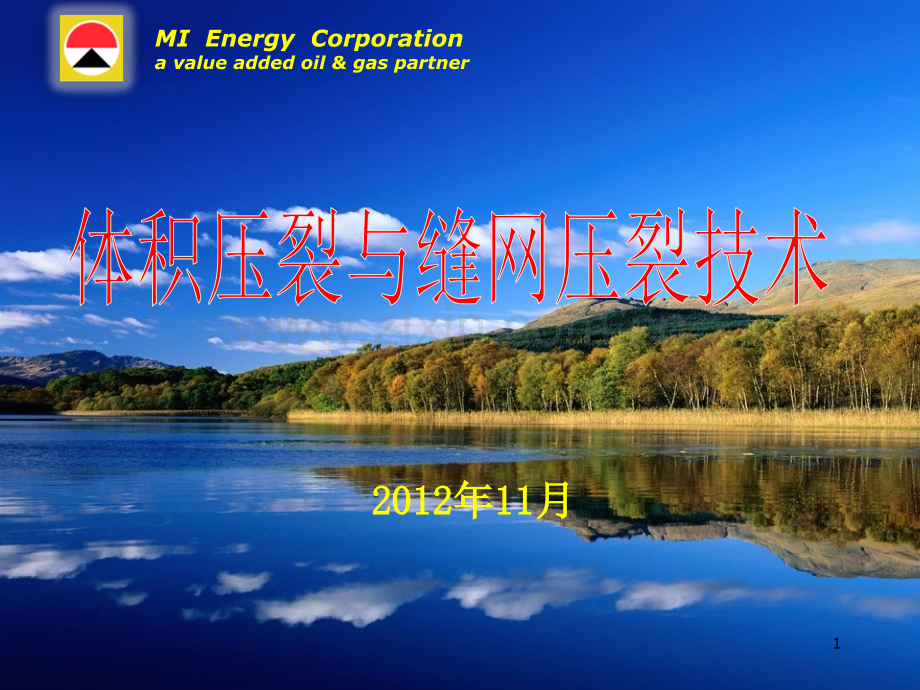 体积压裂与缝网压裂技术.ppt_第1页
